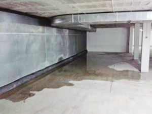 REPARACION DE DAÑOS ESTRUCTURALES POR FILTRACIONES  